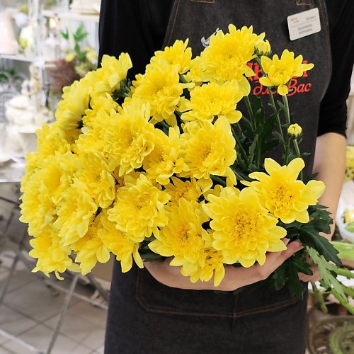 Букет живых цветов ЦВЕТЫ ДЛЯ ВАС Букет из 7 кустовых хризантем желтых