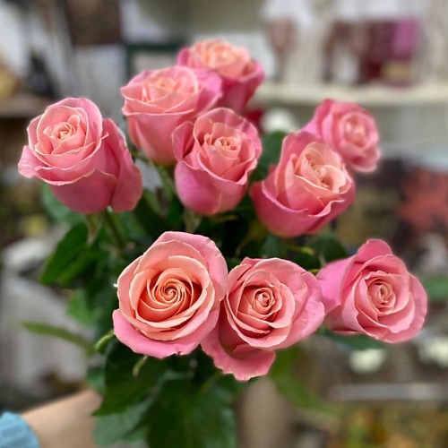 Букет живых цветов ЦВЕТЫ ДЛЯ ВАС Букет из 9 нежно персиковых роз (Эквадор) 60 см