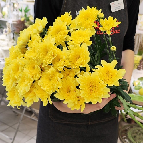 Букет живых цветов ЦВЕТЫ ДЛЯ ВАС Букет из 9 кустовых хризантем желтых