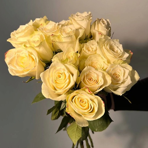 Букет живых цветов ЦВЕТЫ ДЛЯ ВАС Букет из 21 белых роз (Кения)
