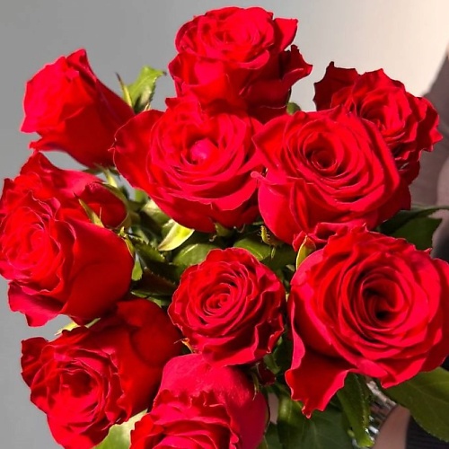 Букет живых цветов ЦВЕТЫ ДЛЯ ВАС Букет из 9 красных роз (Кения)