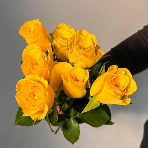 Букет живых цветов ЦВЕТЫ ДЛЯ ВАС Букет из 5 кремовых роз (Кения)